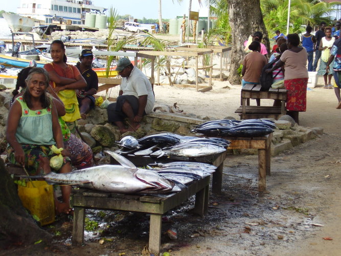 Gizo Fish Market