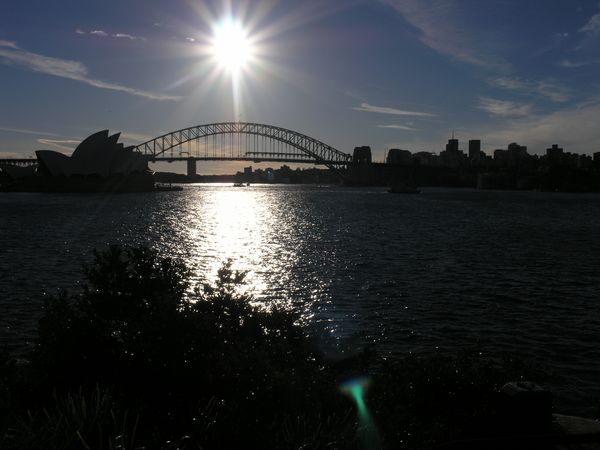 Sydney Harbour at start of WYD08